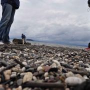 ANECDOTARIO-GIRA-NUEVA-ZELANDA-108