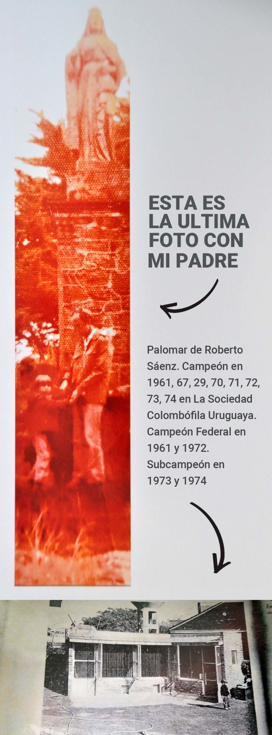 GUSTAVO-SAENZ-side-2-scaled