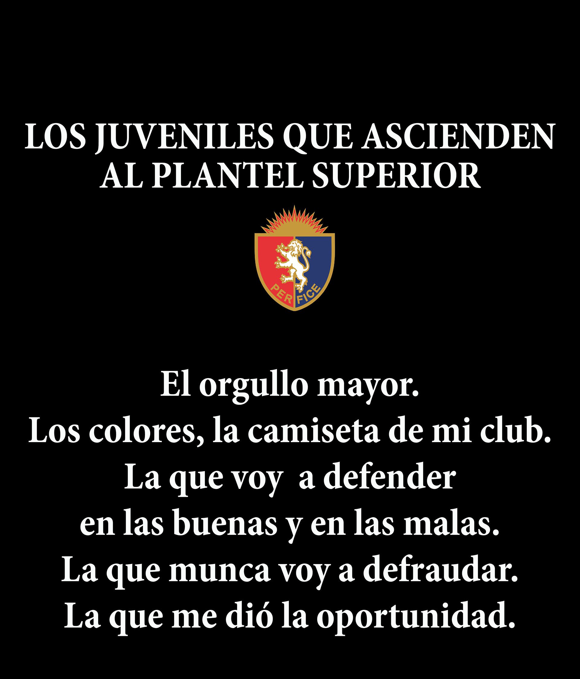 N20_RUGBY_1_PORTADA_DESK