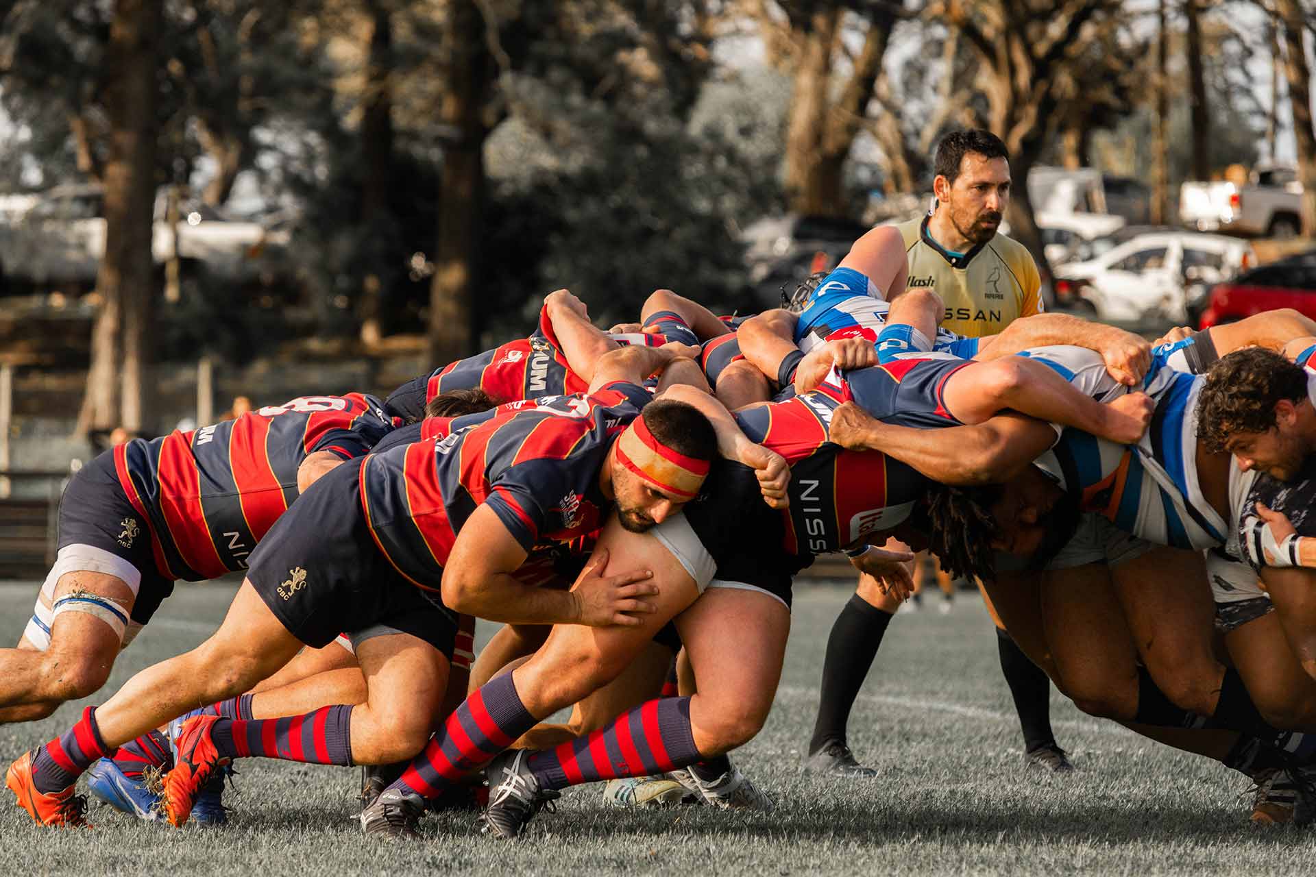 RUGBY-PLANTEL-SUPERIOR-04