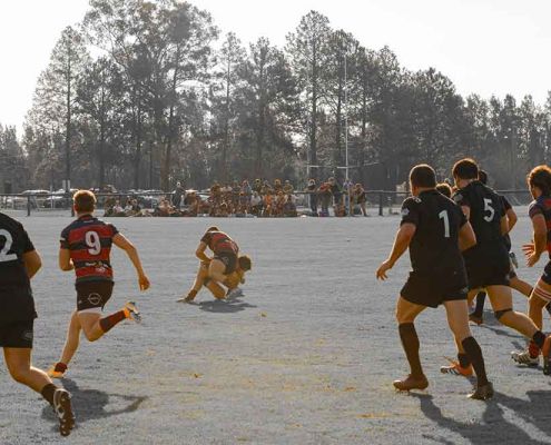 RUGBY_PLANTEL_SUP_N7-36