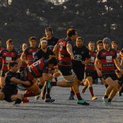 RUGBY_PLANTEL_SUP_N7-59
