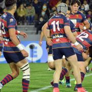 RUGBY_PLANTEL_SUP_N7-80