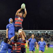 RUGBY_PLANTEL_SUP_N7-97