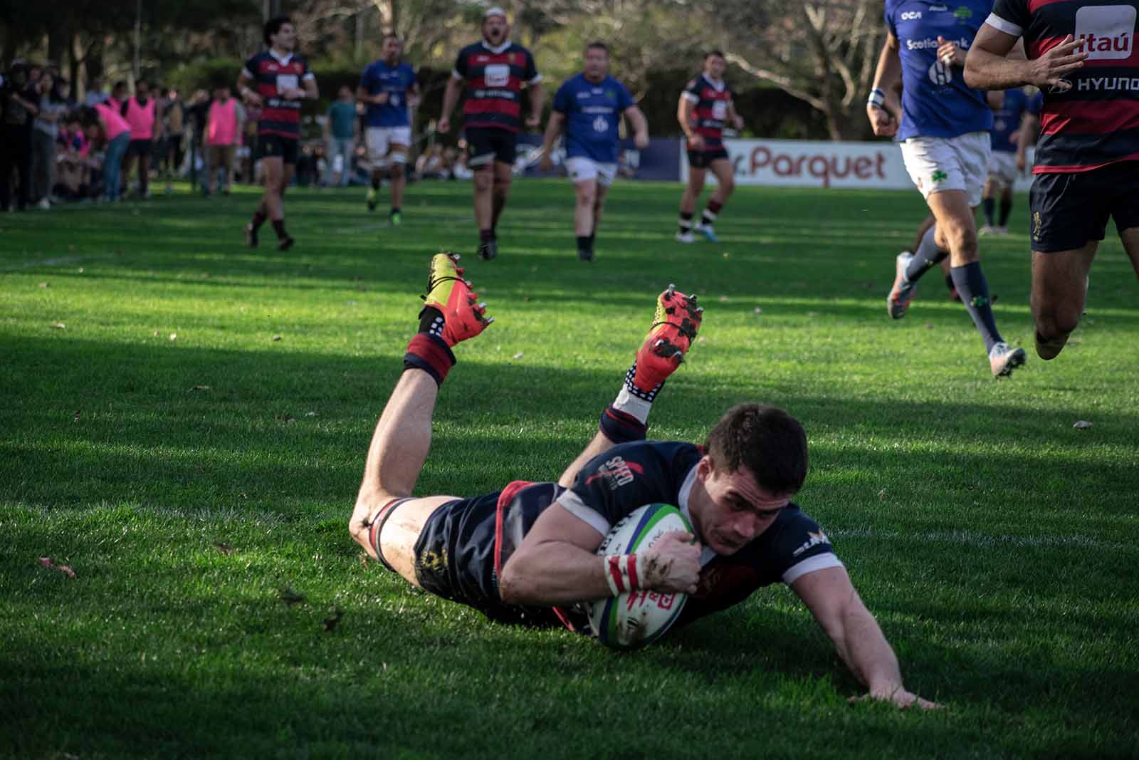 TOTO-GINELLA-WIDE-00