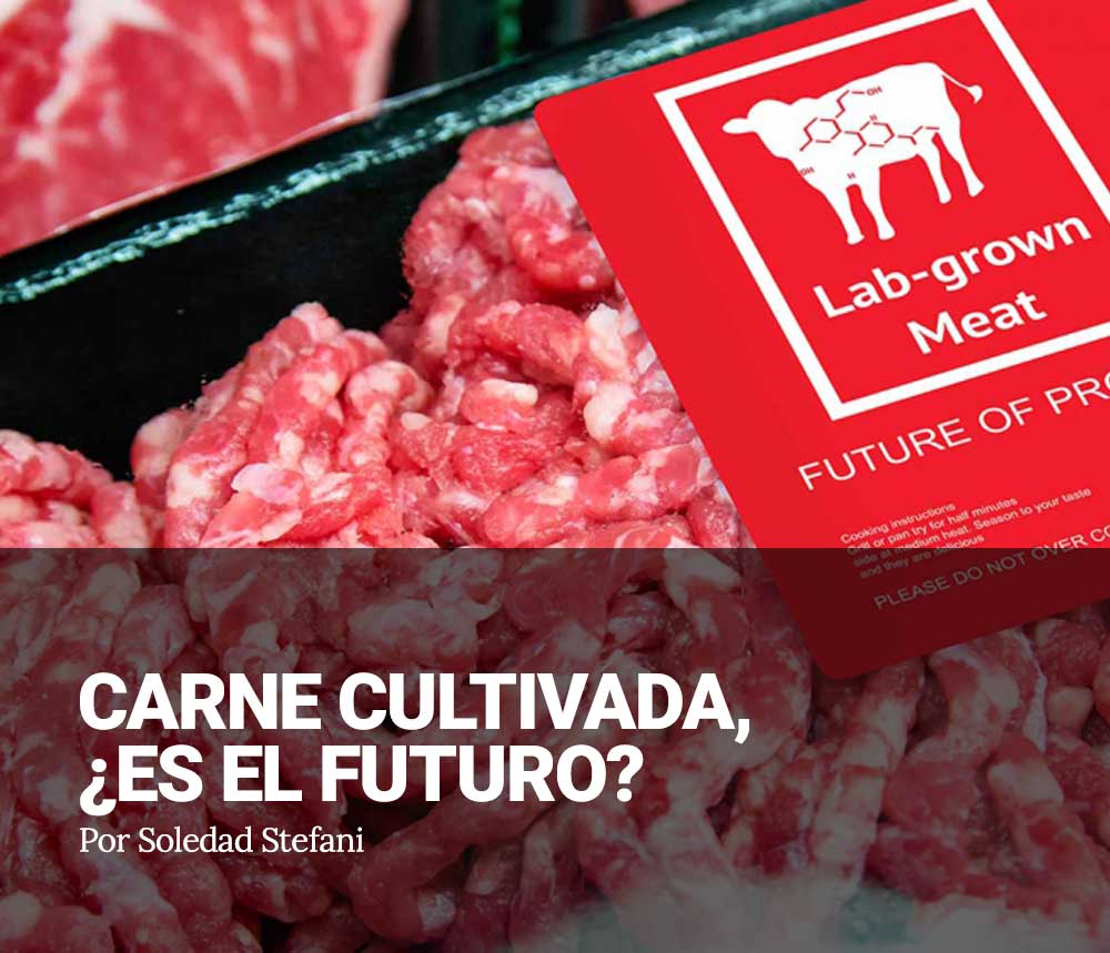 carne_portada_mob