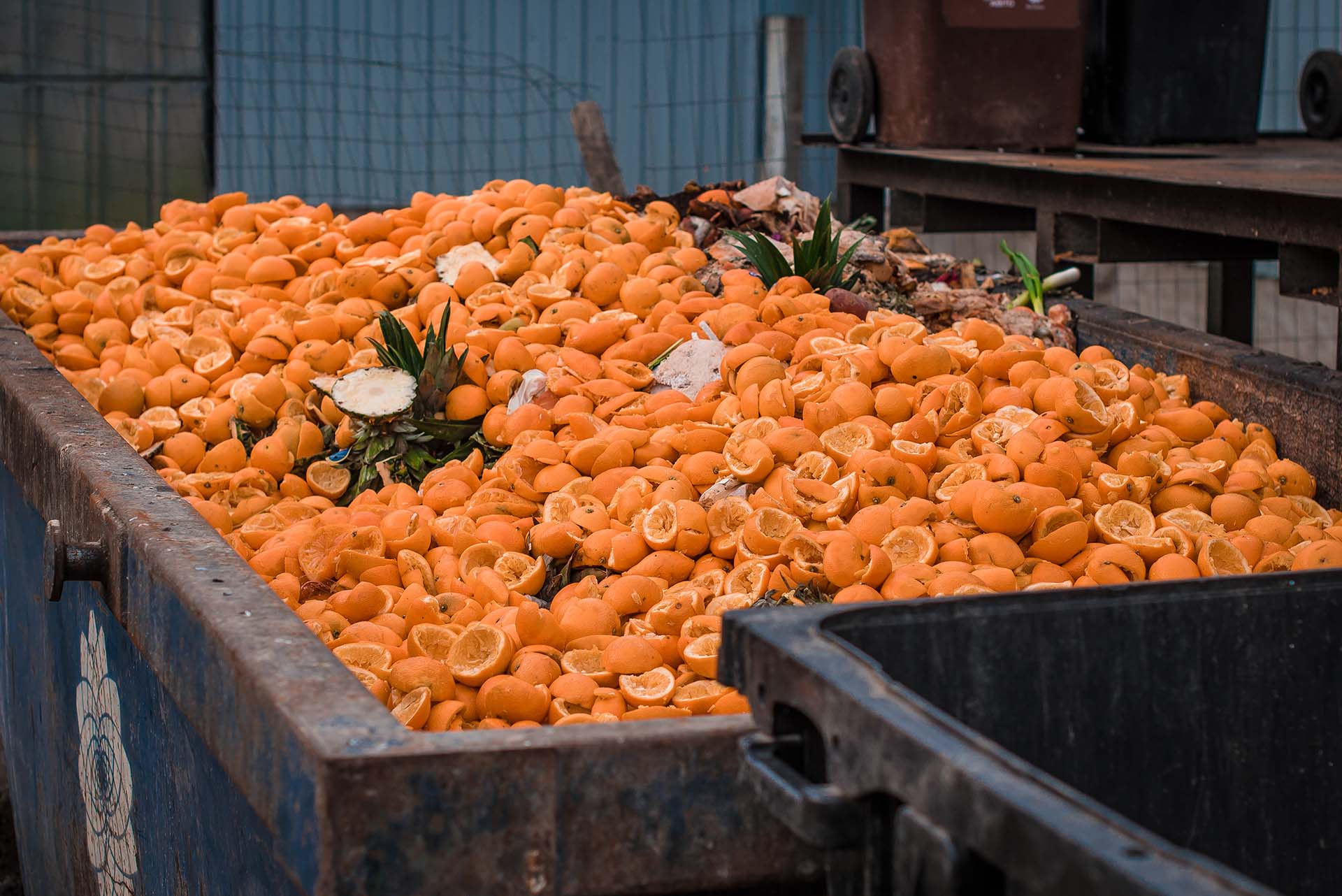 jovenes-emprendedores_wide_003