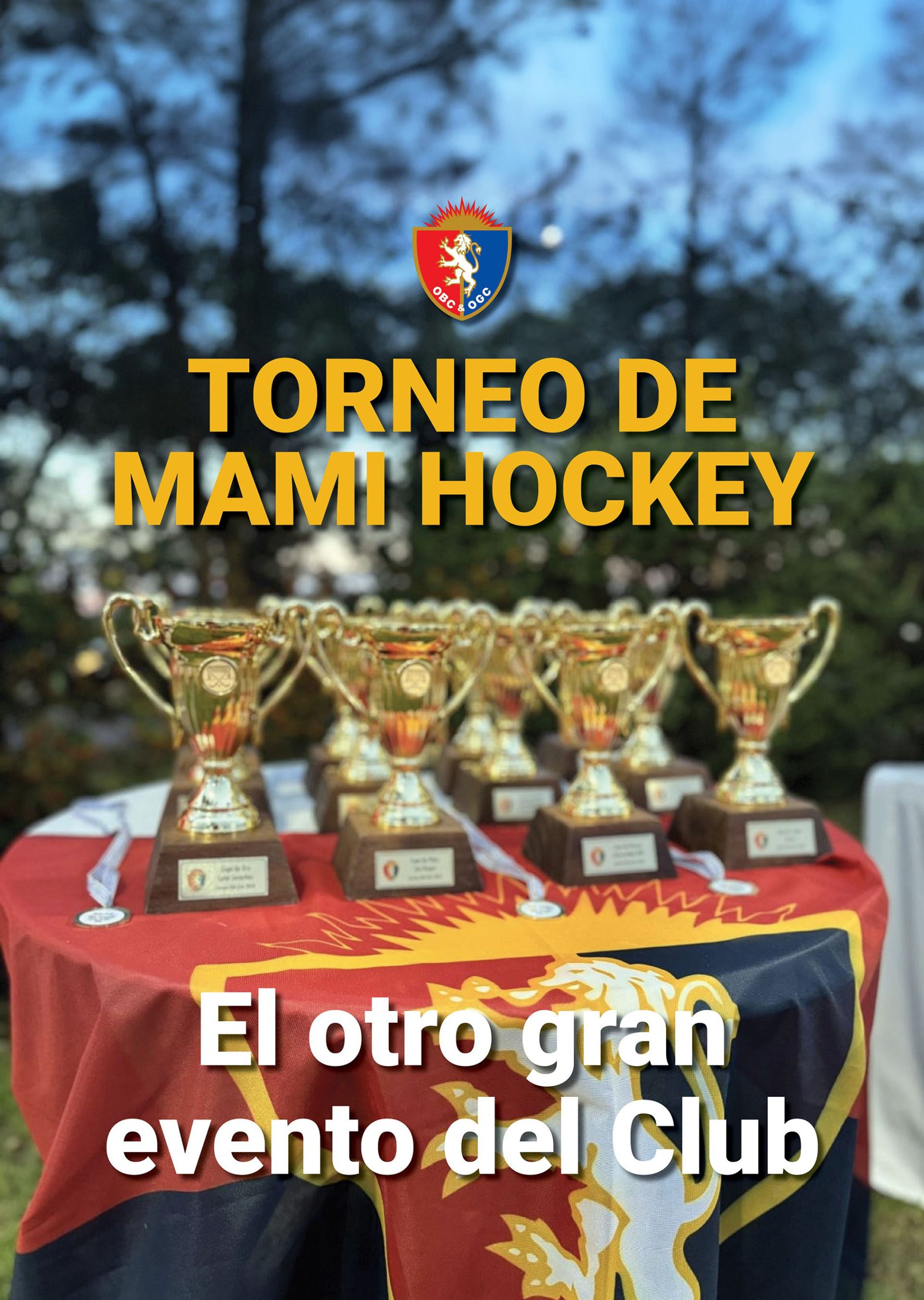 mami-hockey-portada-desk_02
