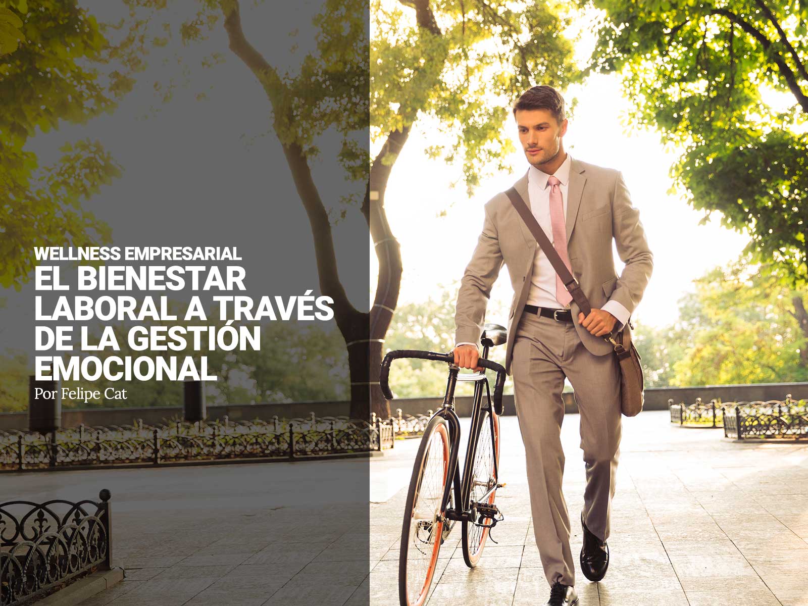 poprtada_welness_desk_02