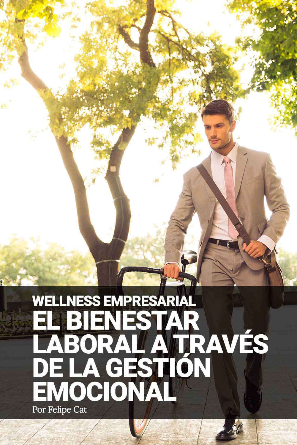 poprtada_welness_mob