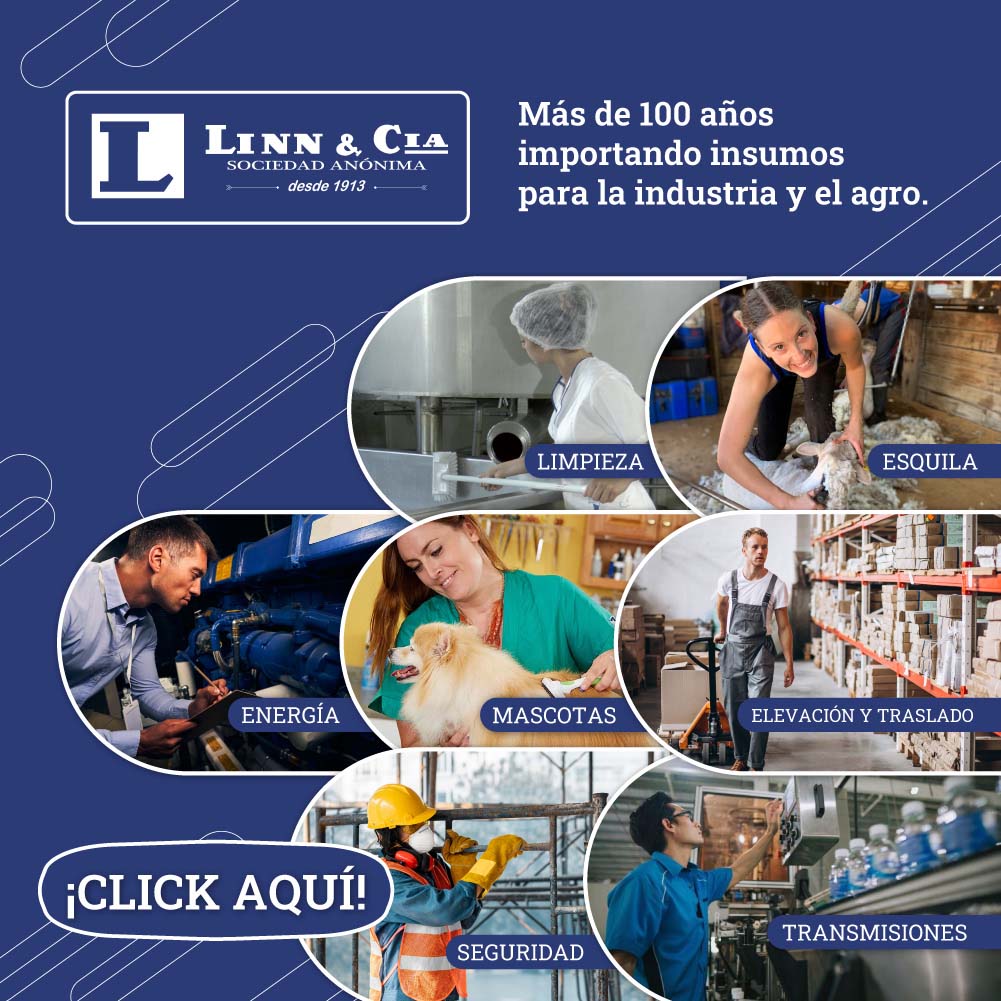 Banner-Linn-1000x1000-px-80